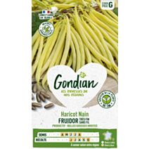 Haricot Fruidor - GONDIAN