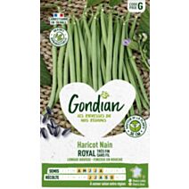 Haricot Royal - GONDIAN