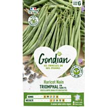 Haricot Triomphal - GONDIAN