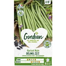 Haricot Délinel - GONDIAN