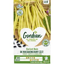 Haricot de Rocquencourt - GONDIAN
