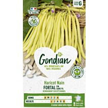 Haricot Fortal - GONDIAN