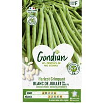 Haricot Perfection Blanc - GONDIAN