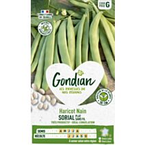 Haricot Sorial - GONDIAN