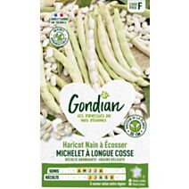 Haricot Michelet à Longue Cosse - GONDIAN