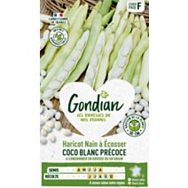 Haricot Coco Blanc Précoce - GONDIAN