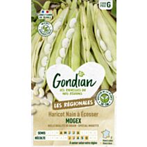 Haricot Mogex - GONDIAN