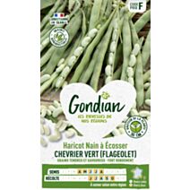 Haricot Chevrier Vert - GONDIAN