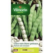 Haricot coco nain blanc précoce, nain à écosser, série 1 Vilmorin
