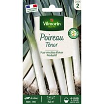 Graines Poireau Ténor - VILMORIN