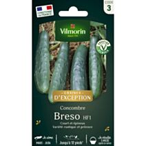 Graines Concombre Breso HF1 - VILMORIN