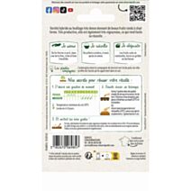 Graines Aubergine Bonica HF1 - VILMORIN