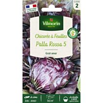 Graines Chicorée à Feuilles Palla Rossa 5 - VILMORIN