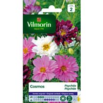 Graines Cosmos Picotée - VILMORIN