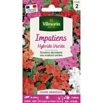 Graines Impatiens Hybride Variée - VILMORIN