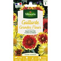 Graines Gaillarde Grandes Fleurs - VILMORIN