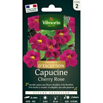Graines Capucine Cherry Rose - VILMORIN