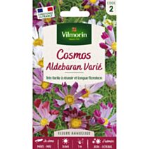 Graines Cosmos Aldebaran - VILMORIN