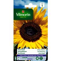 Graines Tournesol à Fleur Géante - VILMORIN