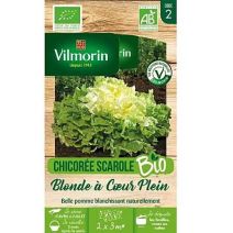 Graine Chicorée Scarole Blonde à Cœur Plein Bio - VILMORIN