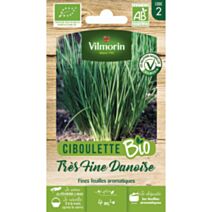 Graines Ciboulette Civette Bio - VILMORIN
