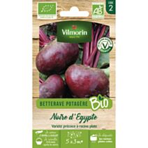 Graines Betterave Potagère Noire Plate d'Egypte Bio - VILMORIN