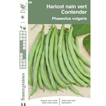 Graines Haricot Nain Vert Contender - FRANCE GRAINES