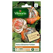 Graines Potiron Giraumon Turban - VILMORIN