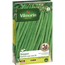 Graine haricot nain sans fil Skipper - VILMORIN