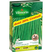 Graines Haricot Nain Vert Skipper - VILMORIN