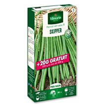 Graines Haricot Nain Vert Skipper - VILMORIN