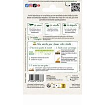 Courgette Adrielle HF1