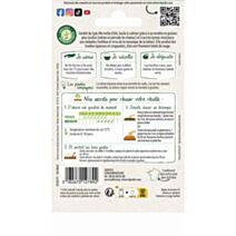 Graines Laitue Batavia Kamikaze - VILMORIN