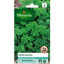Graines Persil Frisé Vert Foncé Race Alto - VILMORIN