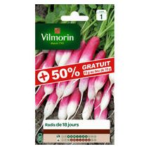 Graine de radis 18 jours - VILMORIN