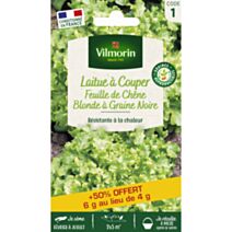 Laitue Feuille de Chêne Blonde à Graine Noire + 50% Gratuit - VILMORIN