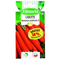 graines de carotte nantaise  - VILMORIN
