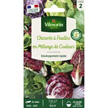 Graines Chicorée à Feuilles en Mélange - VILMORIN
