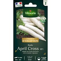 Graines Radis Japonais April Cross HF1 - VILMORIN