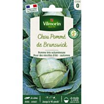Graines Chou Blanc de Brunswick - VILMORIN