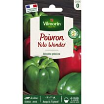 Graines Poivron Yolo Wonder - VILMORIN