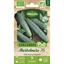 Graines Concombre Marketmore 76 Bio - VILMORIN