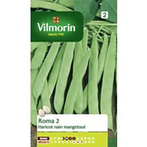 Graines Haricot Nain Vert Plat Roma 2 - VILMORIN