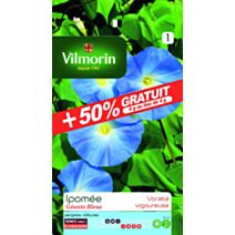 Graines Ipomée Géante Bleue - VILMORIN