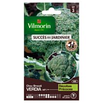 Graines Chou Brocoli Verdia HF1 - VILMORIN