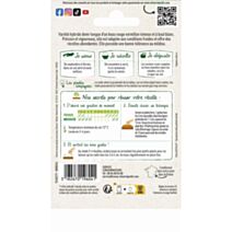 Graines Radis Kocto HF1 - VILMORIN