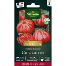 Graines Tomate Corazon HF1 - VILMORIN