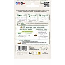 Graines Fraisier des 4 Saisons - VILMORIN