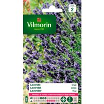 Graines Lavande Vraie - VILMORIN