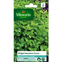 Graines Origan Marjolaine Vivace - VILMORIN